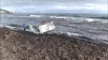 Bastia : Les bénévoles nettoient les plages après la tempête…