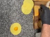 VIDEO - À table : tortellini à la courge bio, aux oronges de cueillette et à la tome Corse avec Loan Gazielly