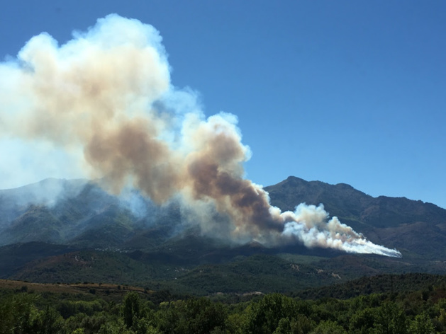 Corte : Un incendie a parcouru 60 hectares. Un Dash en renfort