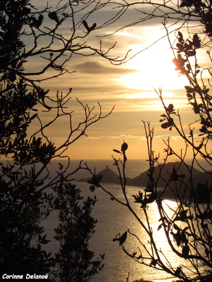 La photo du jour : Punta di a Parata