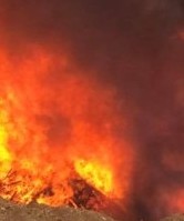 Incendie à Volpajola : Trois hectares détruits