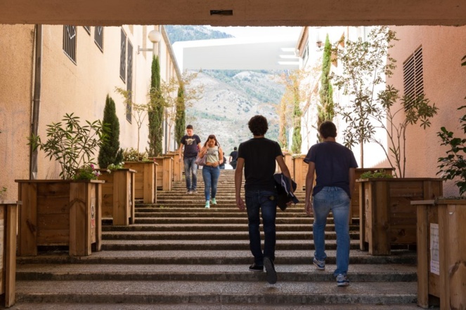 Corte : A Ghjuventù Verde expose au Campus Mariani ce 2 avril