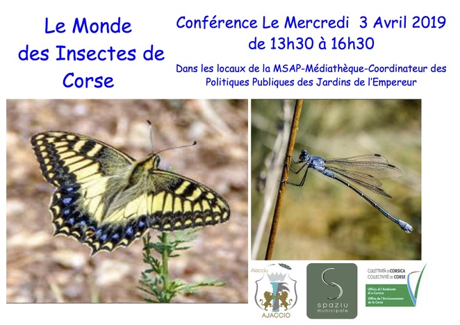 Le Monde des Insectes de Corse en conférence ce mercredi à Ajaccio