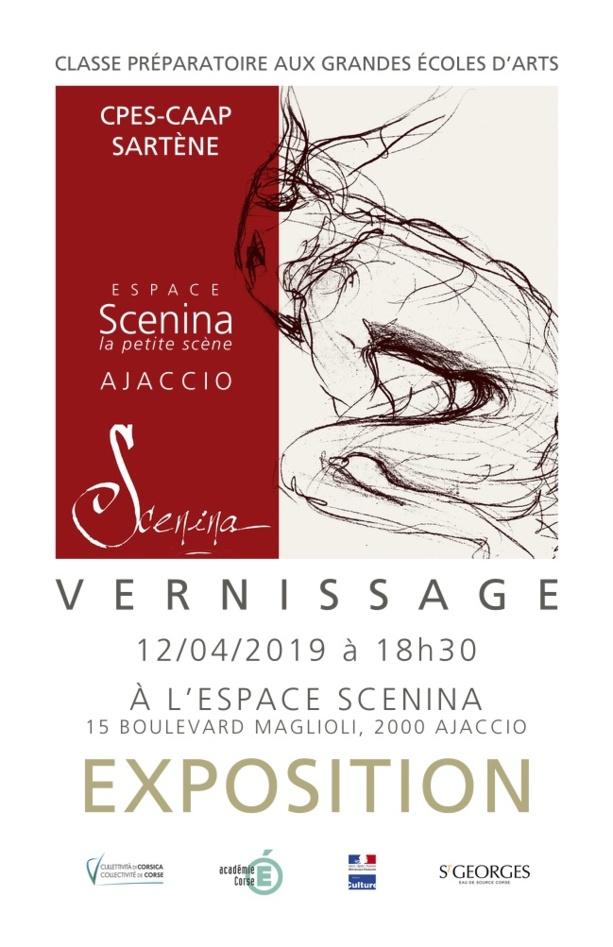 Expo des élèves CPES CAAP de Sartene à l'espace Scenina d'Ajaccio 