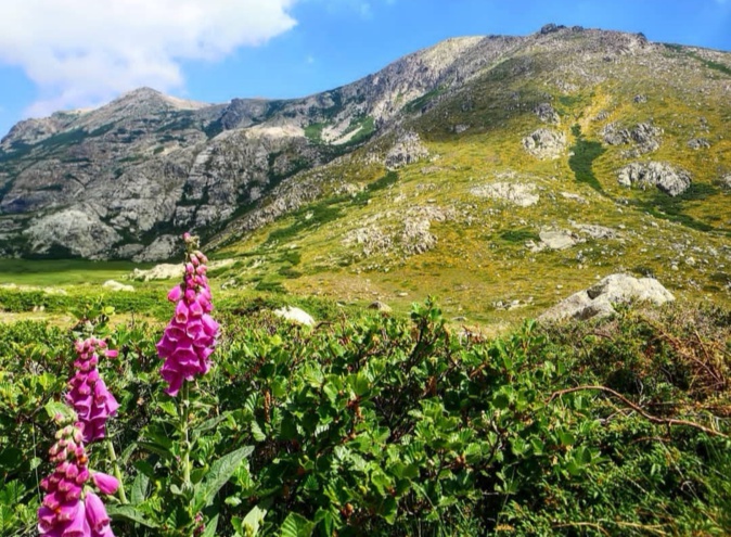 Val d'Ese (Stéphanie Ingram)