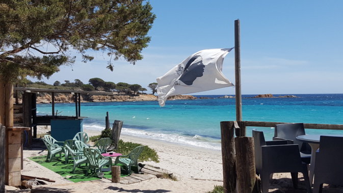 La plage d'Asciaghju à Porto-Vecchio (Patricia Borghi)