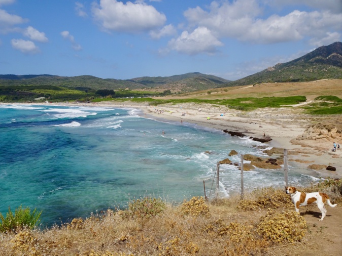 La plage de Capo di Fenu ( Olivier Canioni)