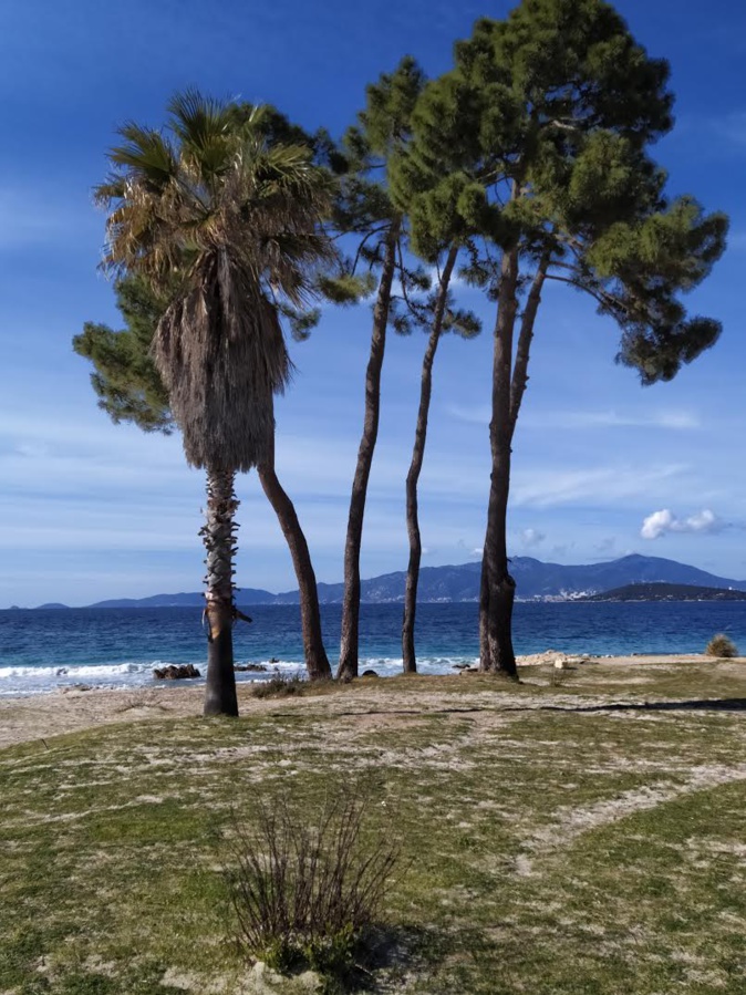 La photo du jour : la plage d'argent de Coti-Chiavari