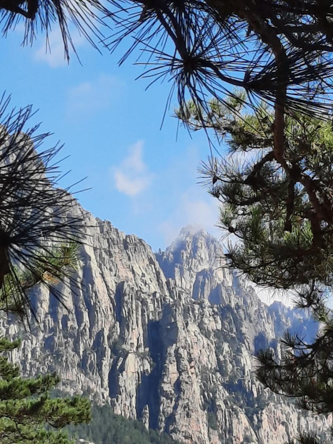 Les aiguilles de Bavella (Mestelle)