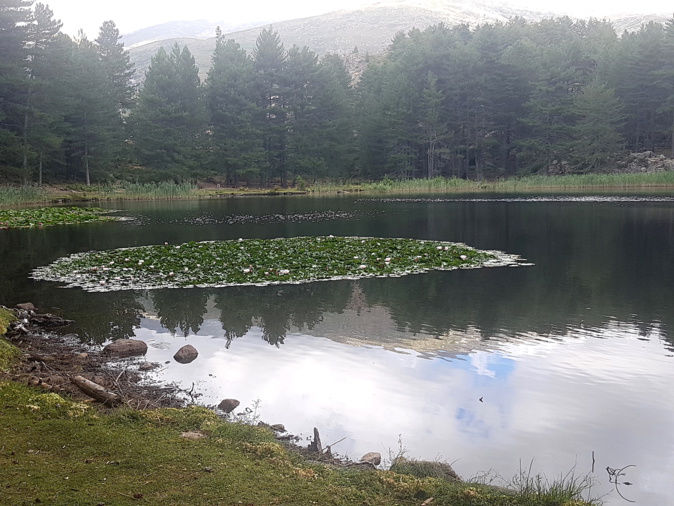 La photo du jour : dans la quiétude du lac de Creno