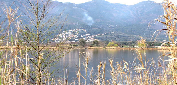 Dégradations sur le site de la réserve naturelle de Biguglia