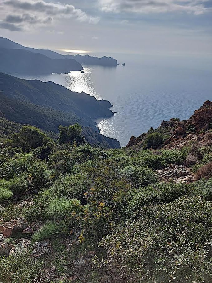 La photo du jour : l'entrée de la réserve de Scandola