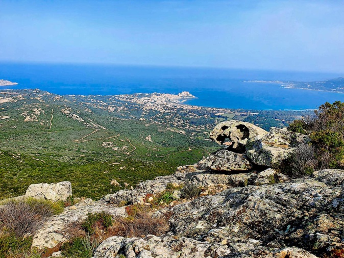 La photo du jour : la tortue de la croix des Autrichiens