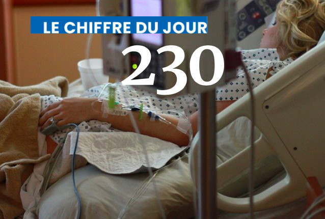 Le chiffre du jour : 230 morts