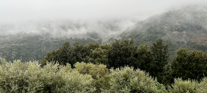 La météo du jeudi 31 mars 2022 en Corse