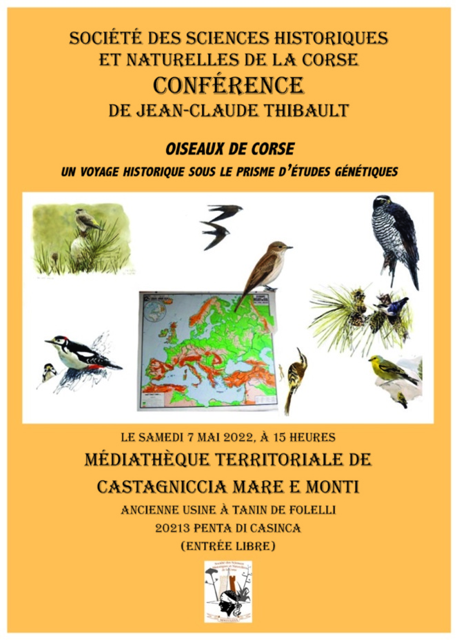 Folelli : une conférence sur les oiseaux de Corse