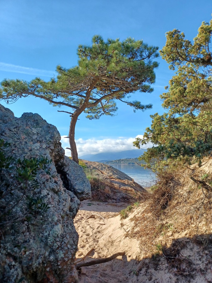 La photo du jour : décembre à Cala Rossa...