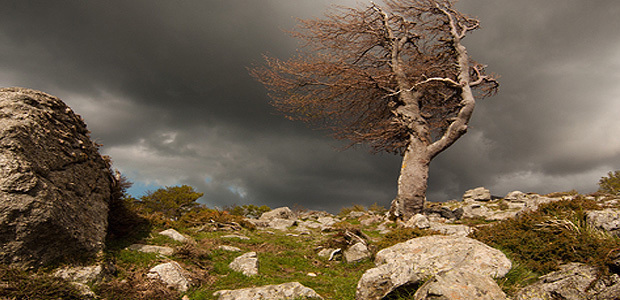  Météo : La Corse placée en vigilance jaune pour  un épisode de vent violent et de neige