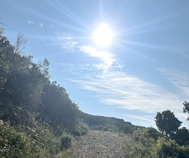 La météo du samedi 8 juillet 2023 en Corse