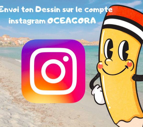 Instagram : un jeu concours pour sensibiliser les enfants à la fragilité de l'écosystème insulaire