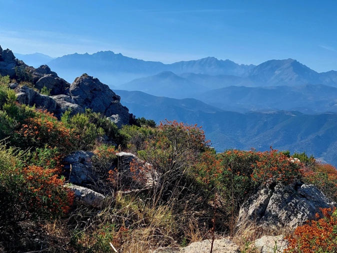 Bocca di San Pancraziu (963 m) sopr'à Urtaca..Vista nant'à Cima di i Mori, Capu biancu, Cintu e monte Padru (Françoise Geronimi)