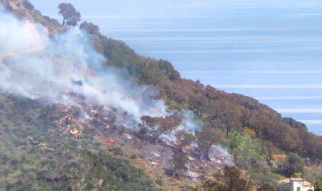 Début d'incendie sur les hauteurs de Miomo