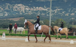 Equitation. Le championnat de Corse de Dressage à Lumio a fait le plein d'engagés et d'émotions