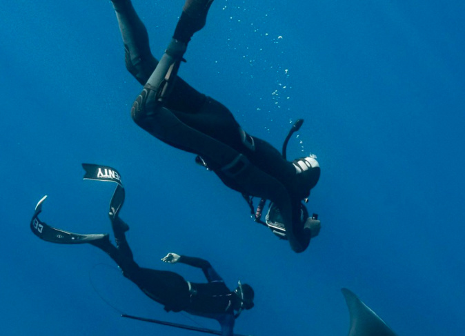 Les championnats de France de  photo sous-marine arrivent à Bastia