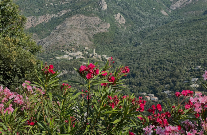 La météo du jour en Corse