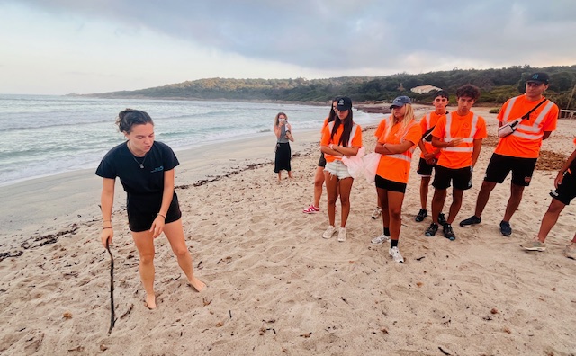 Charlène Thévenet souhaite sensibiliser le plus grand nombre pour protéger les éventuelle pontes de tortues marines.