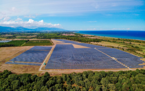 Folelli : Corsica Sole veut mettre le soleil en bouteille 