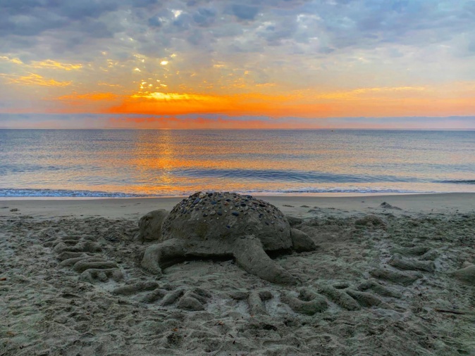 La photo du jour : tortue de... sable sur la plage de Cap Sud à Venzolasca