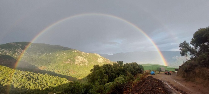 EN IMAGES - Corse : l'île aux arcs-en-ciel