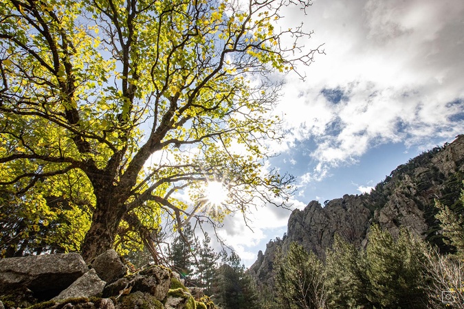 Aux bergeries de Belle e Buone au cœur du massif de Punta Alle Porte (Corinne Godard)