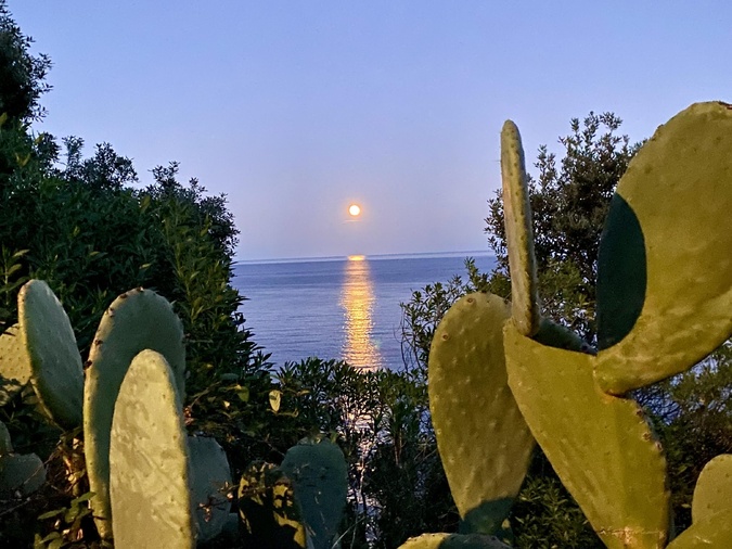 La photo du jour : Lever de lune à Fautea