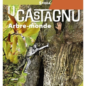 « L’arbre-monde » : U Castagnu, arbre tutélaire de la Corse