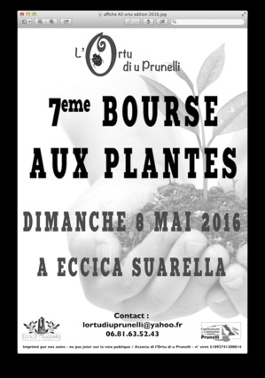 Eccica-Suarella : 7ème Bourse aux Plantes le 8 mai