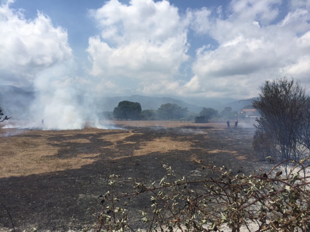 Broussailles et ronciers ont été parcourus par les flammes.