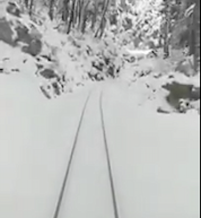 Phénomène Moscou-Paris : Promenade en train jusqu'à Vizzavona