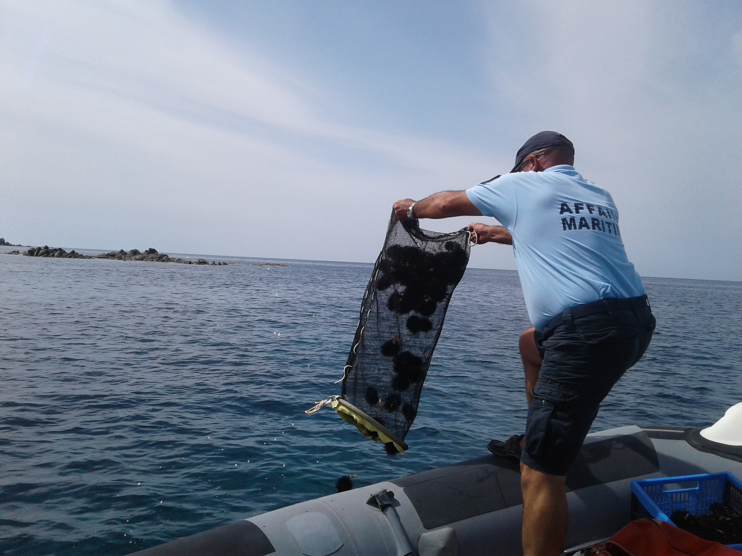 Les oursins pêchés illégalement rejetés à la mer