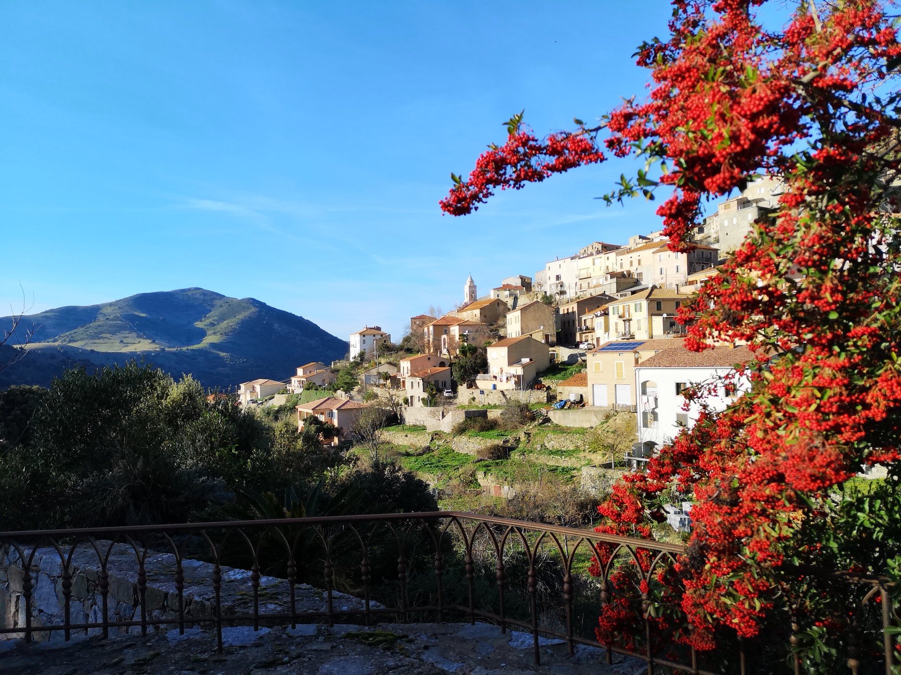 La photo du jour : Petralba au Soleil lumineux de Janvier