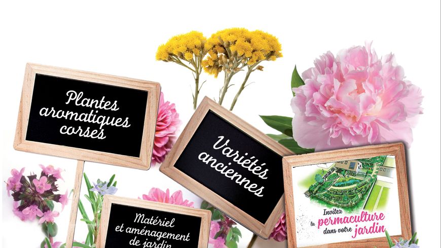 La 8ème édition du Marché aux fleurs de Ghisonaccia revient