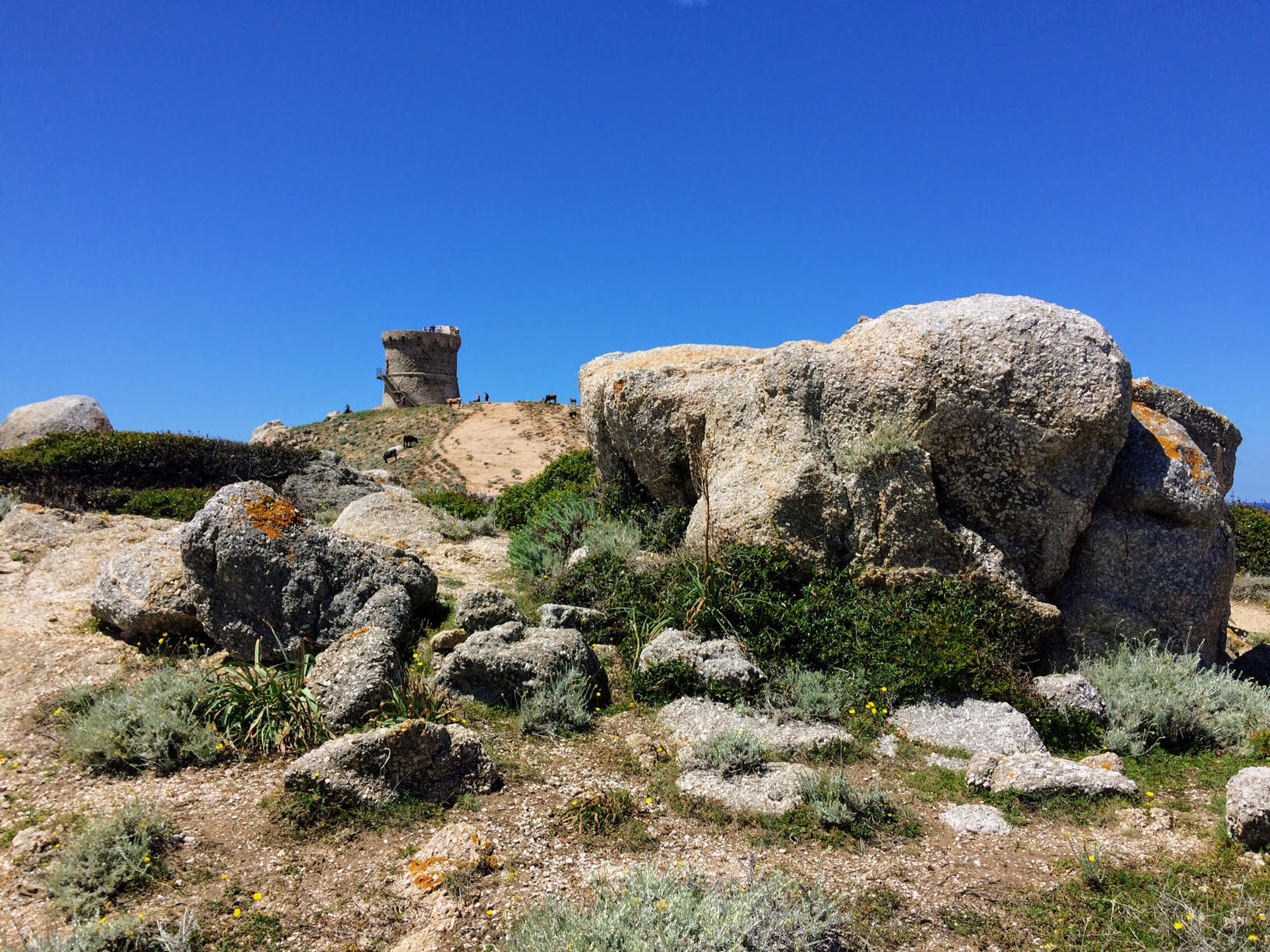 La photo du jour : Punta d’Omigna à Carghjese