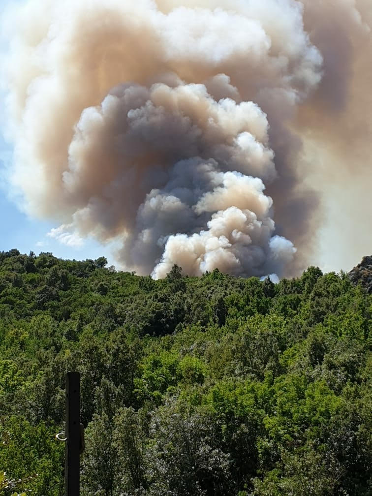 Le feu vu de Ponte-Novu (Photo Christophe Reis)