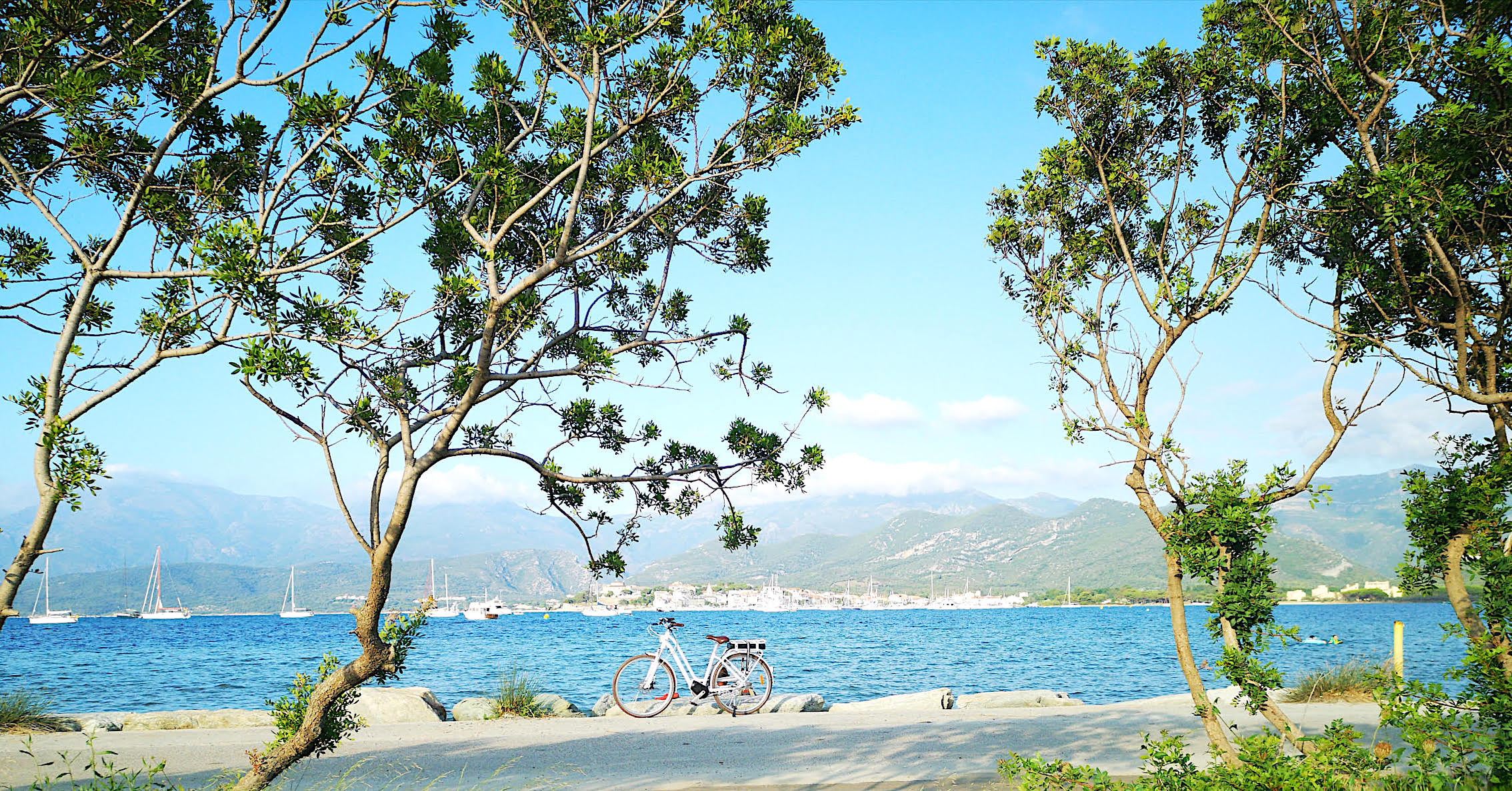 Saint-Florent (Hugo Bras)