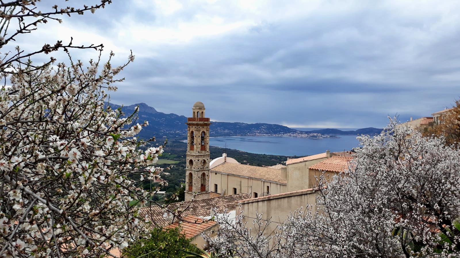 La photo du jour : le clocher de Santa Maria Maiò de Lumiu