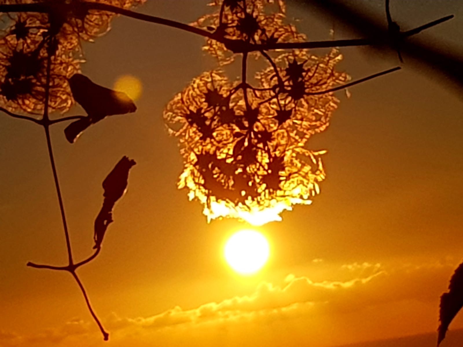 Soleil en… suspension (Photo Marité Valery)