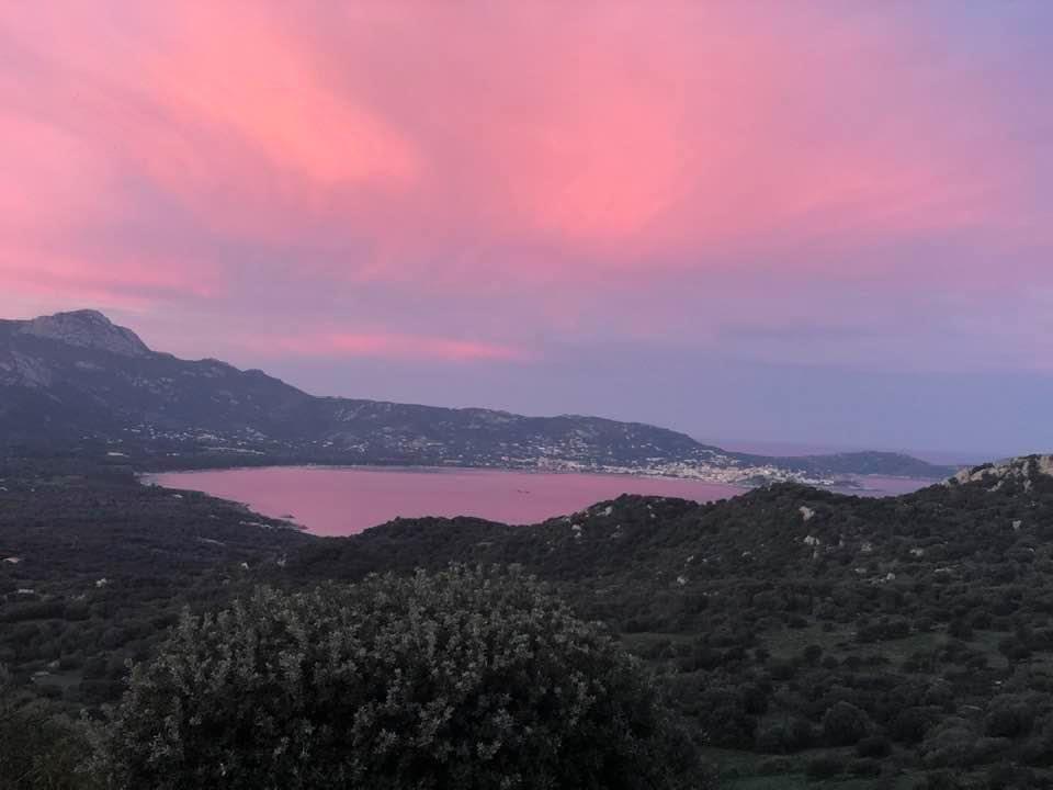 La baie de Calvi au petit matin (Denise Ruggieri)