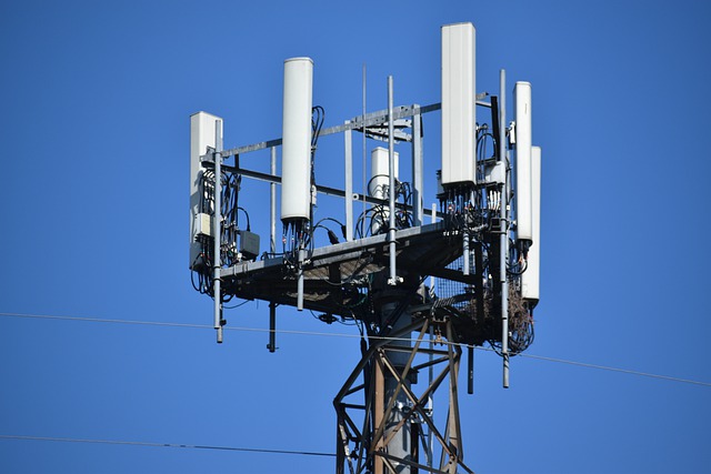 Déploiement de la 5G en Corse : "la jurisprudence du Conseil d'Etat ne saurait influer sur notre position" 