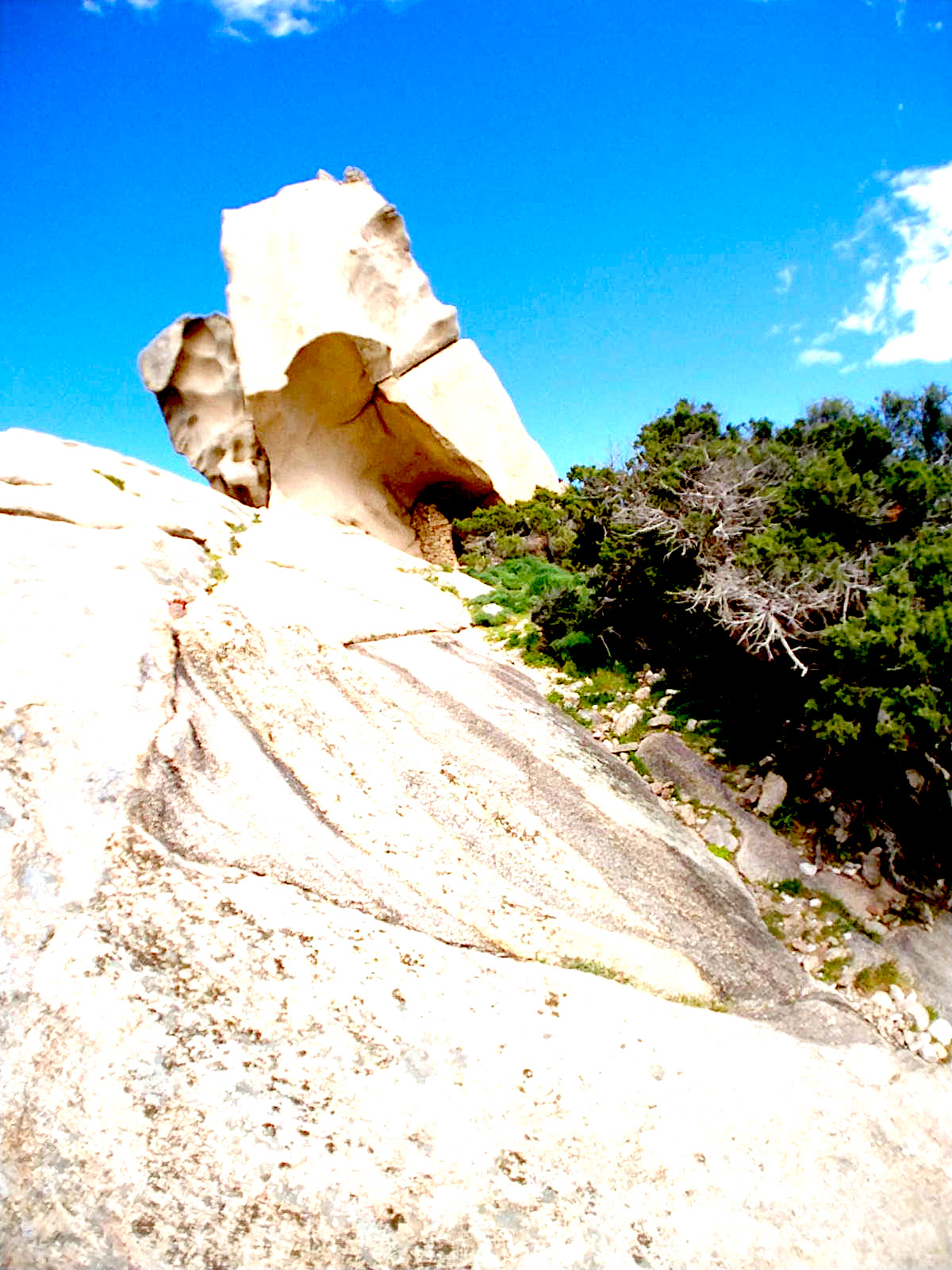 La photo du jour : l'orriu di u Liò di Roccapina